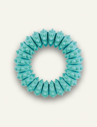 Denta Fun Obręcz dla psa - zabawka i pielęgnacja zębów, guma naturalna, miętowy smak, ø 12 cm