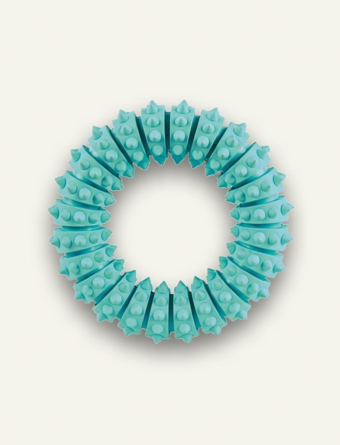 Denta Fun Obręcz Trixie dla psa -  dwufunkcyjna gumowa zabawka do zabawy i pielęgnacji zębów, ø 12 cm, miętowy smak