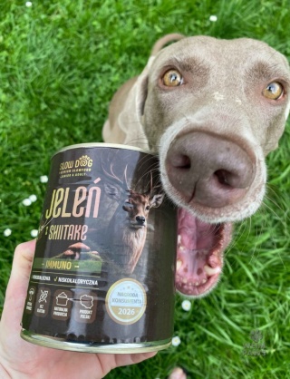 JELEŃ z Shiitake IMMUNO 86% mięsa, mokra karma dla psa Slow Dog - 800g