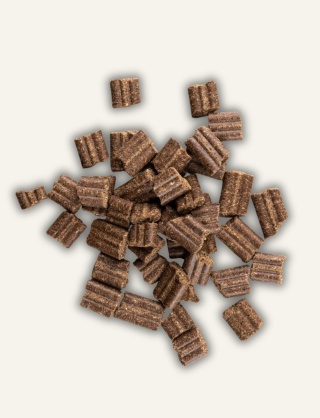 Nutri WILD Karma dla psa Jeleń SUPERFOODS 5 kg - monobiałkowa, rzemieślnicza, suszone mięso